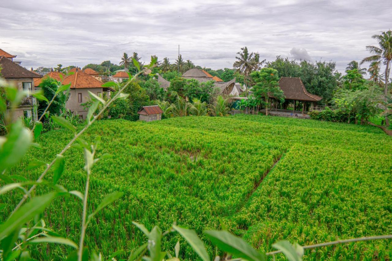Artini Bisma Ubud Hotel Exterior foto
